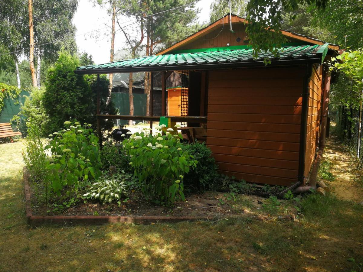 Domki Domek Na Jeziorem Wilczynskim Budzislawskim , Las, Osobno Ogrodzony 2-6 Osob- Klimatyzacja, Ogrzewanie, 62-550 Zygmuntowo Gm Wilczyn Екстер'єр фото