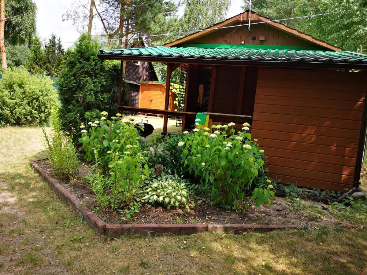 Domki Domek Na Jeziorem Wilczynskim Budzislawskim , Las, Osobno Ogrodzony 2-6 Osob- Klimatyzacja, Ogrzewanie, 62-550 Zygmuntowo Gm Wilczyn Екстер'єр фото