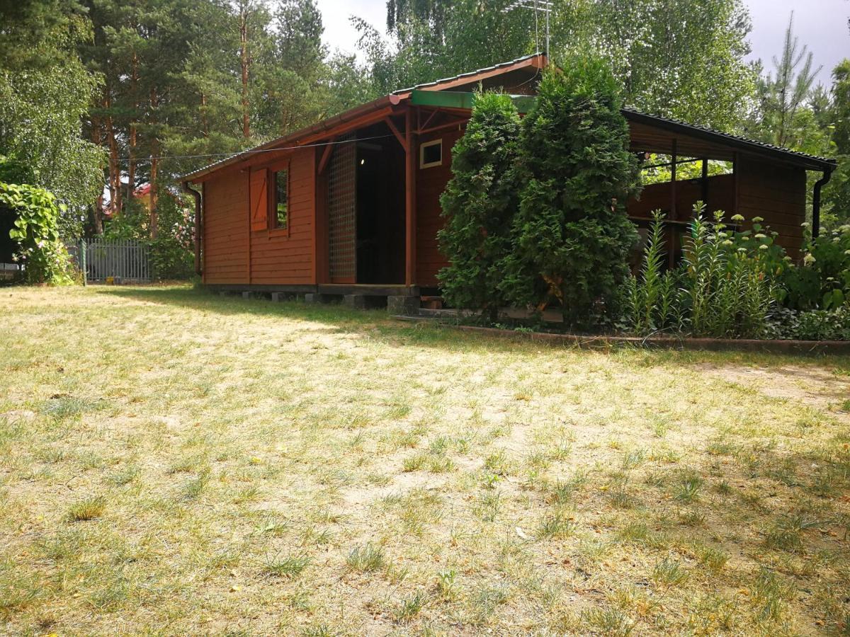 Domki Domek Na Jeziorem Wilczynskim Budzislawskim , Las, Osobno Ogrodzony 2-6 Osob- Klimatyzacja, Ogrzewanie, 62-550 Zygmuntowo Gm Wilczyn Екстер'єр фото